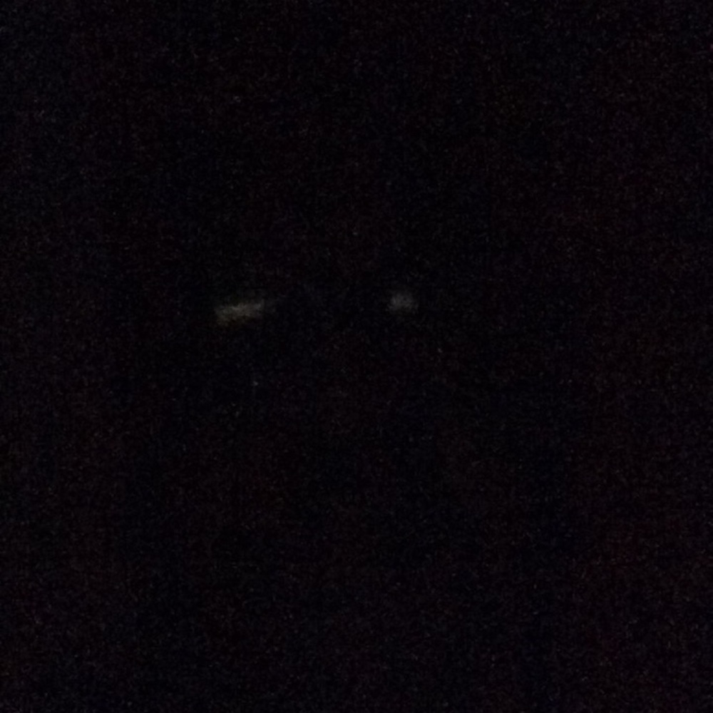 Meet your Posher, Henry